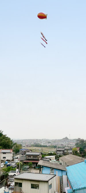 sD^Aho[̌fg